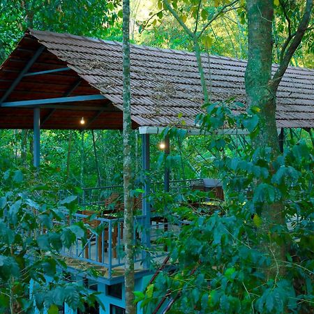 Snow Hills Resorts Thekkady Ngoại thất bức ảnh