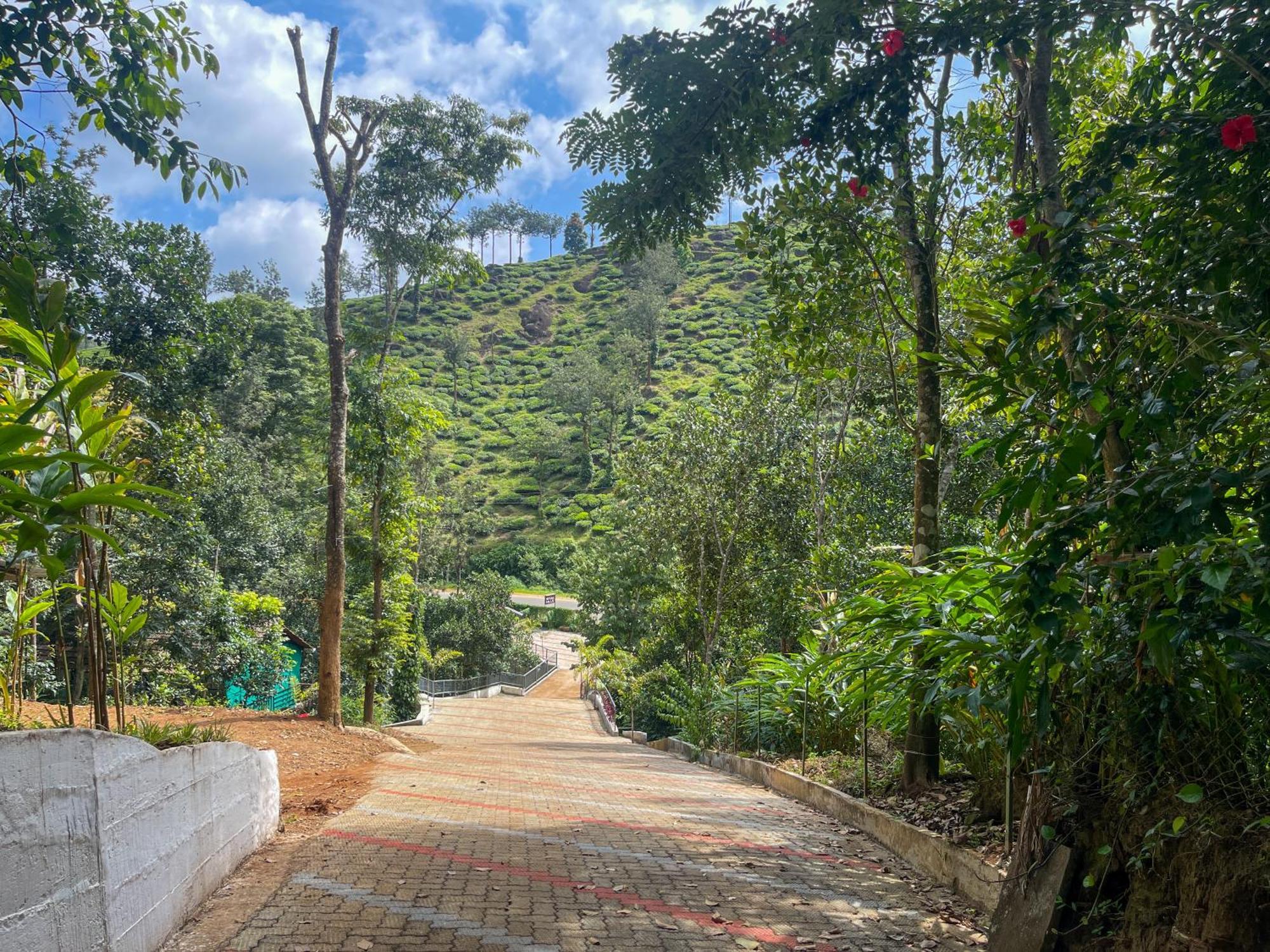 Snow Hills Resorts Thekkady Ngoại thất bức ảnh