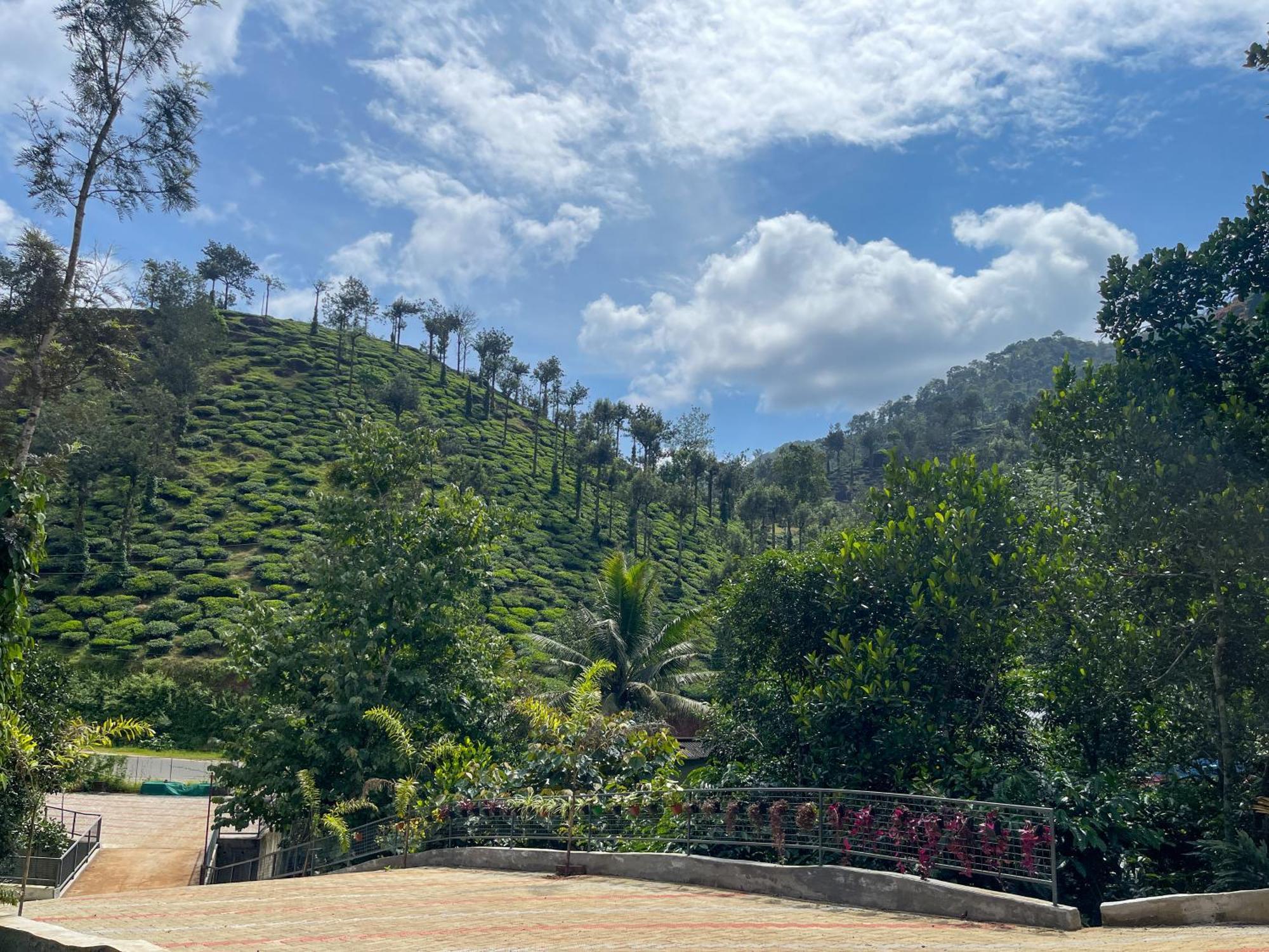 Snow Hills Resorts Thekkady Ngoại thất bức ảnh